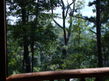 5030 Settlers View Lane