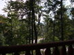 5030 Settlers View Lane