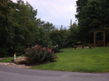 Quail Way