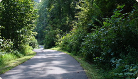 Lot 5 & 7 Big Buck Trail