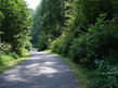 Lot 5 & 7 Big Buck Trail