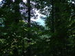 Lot 5 & 7 Big Buck Trail