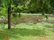 Townsend River House
