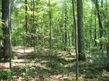 Redtail Rd