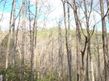 Whippoorwill Way
