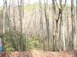 Whippoorwill Way