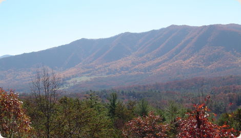 Tolliver Trail