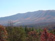 Tolliver Trail