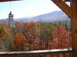 Tolliver Trail
