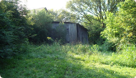 Little Valley Road